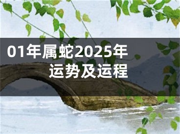 01年属蛇2025年运势及运程