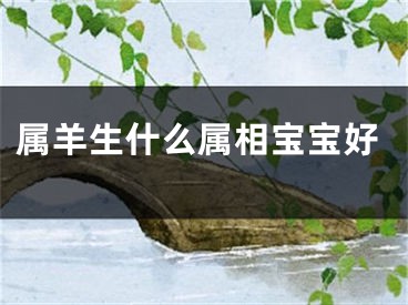 属羊生什么属相宝宝好