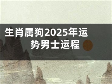 生肖属狗2025年运势男士运程