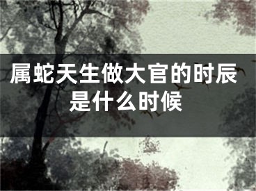 属蛇天生做大官的时辰是什么时候