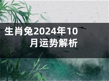 生肖兔2024年10月运势解析