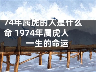 74年属虎的人是什么命 1974年属虎人一生的命运