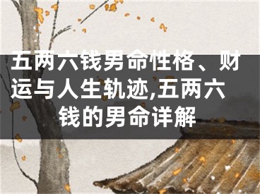 五两六钱男命性格、财运与人生轨迹,五两六钱的男命详解