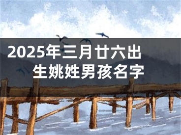 2025年三月廿六出生姚姓男孩名字