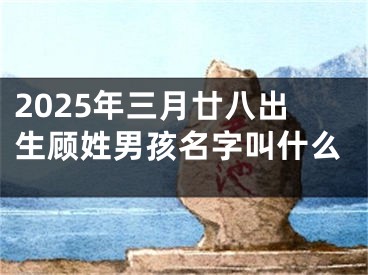 2025年三月廿八出生顾姓男孩名字叫什么