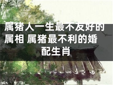 属猪人一生最不友好的属相 属猪最不利的婚配生肖