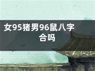 女95猪男96鼠八字合吗
