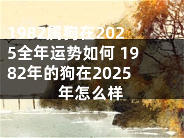 1982属狗在2025全年运势如何 1982年的狗在2025年怎么样