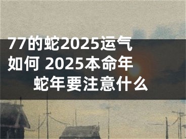 77的蛇2025运气如何 2025本命年蛇年要注意什么