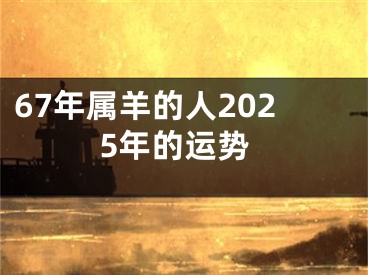 67年属羊的人2025年的运势