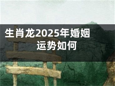 生肖龙2025年婚姻运势如何