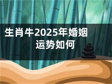 生肖牛2025年婚姻运势如何