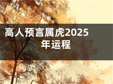高人预言属虎2025年运程