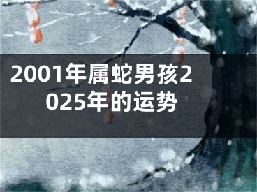 2001年属蛇男孩2025年的运势