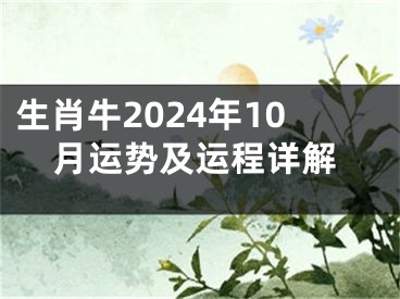 生肖牛2024年10月运势及运程详解