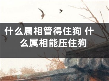 什么属相管得住狗 什么属相能压住狗