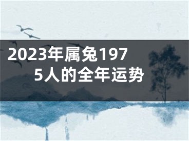 2023年属兔1975人的全年运势