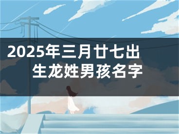 2025年三月廿七出生龙姓男孩名字