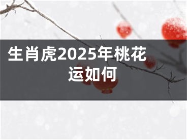 生肖虎2025年桃花运如何
