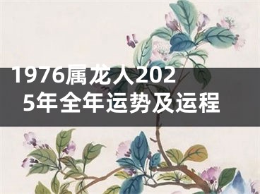 1976属龙人2025年全年运势及运程