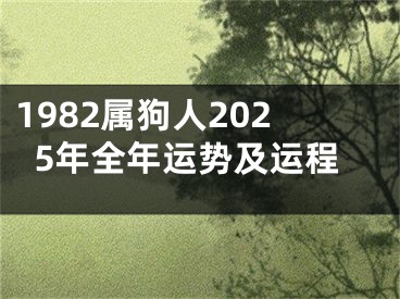 1982属狗人2025年全年运势及运程