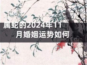 属蛇的2024年11月婚姻运势如何