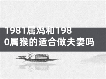 1981属鸡和1980属猴的适合做夫妻吗