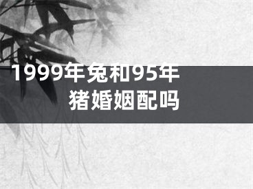 1999年兔和95年猪婚姻配吗