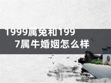 1999属兔和1997属牛婚姻怎么样