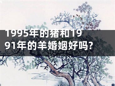 1995年的猪和1991年的羊婚姻好吗?