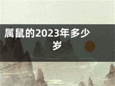 属鼠的2023年多少岁