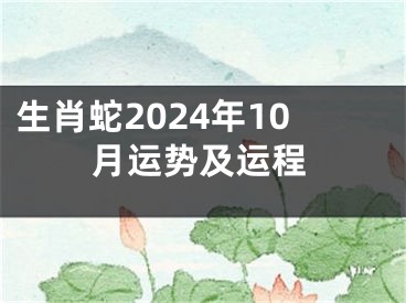 生肖蛇2024年10月运势及运程
