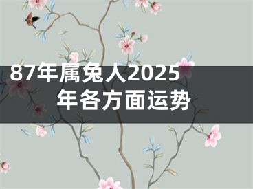 87年属兔人2025年各方面运势