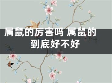 属鼠的厉害吗 属鼠的到底好不好