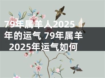 79年属羊人2025年的运气 79年属羊2025年运气如何