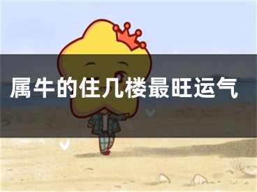 属牛的住几楼最旺运气