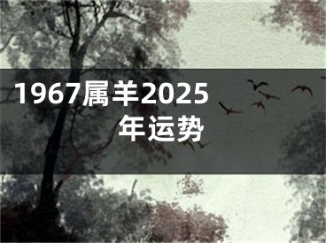 1967属羊2025年运势
