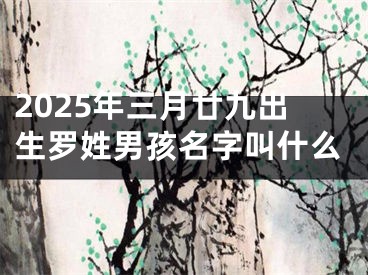 2025年三月廿九出生罗姓男孩名字叫什么