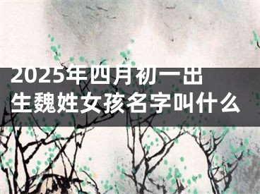 2025年四月初一出生魏姓女孩名字叫什么