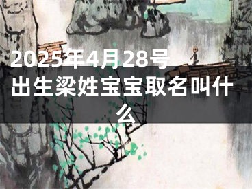 2025年4月28号出生梁姓宝宝取名叫什么
