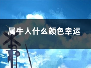 属牛人什么颜色幸运