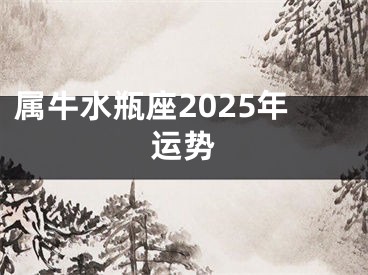 属牛水瓶座2025年运势