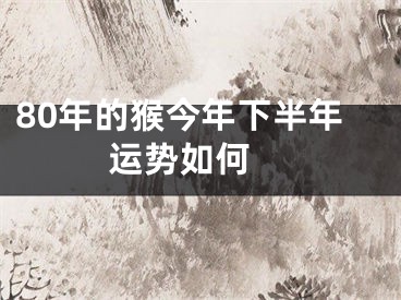 80年的猴今年下半年运势如何 