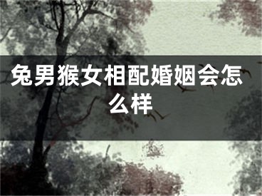 兔男猴女相配婚姻会怎么样
