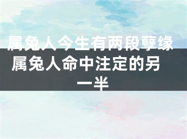 属兔人今生有两段孽缘 属兔人命中注定的另一半
