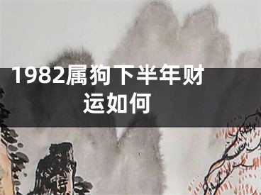 1982属狗下半年财运如何 