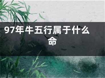 97年牛五行属于什么命