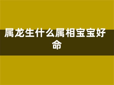属龙生什么属相宝宝好命