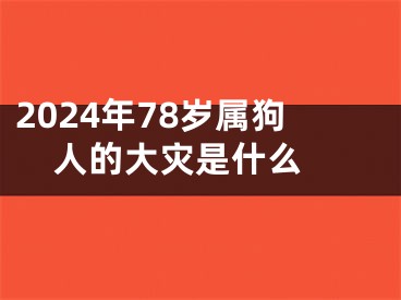 2024年78岁属狗人的大灾是什么 