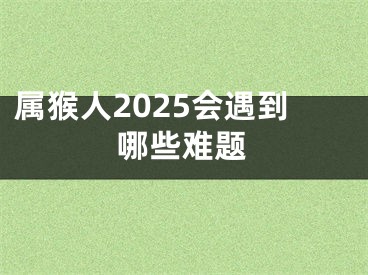 属猴人2025会遇到哪些难题